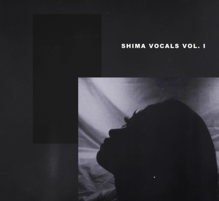 loopstash SHIMA x KXVI Vocal Chops Vol.1 WAV